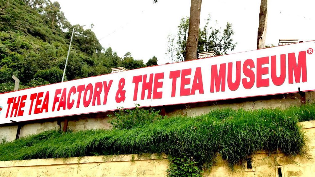 Ooty Tea Factory & Museum